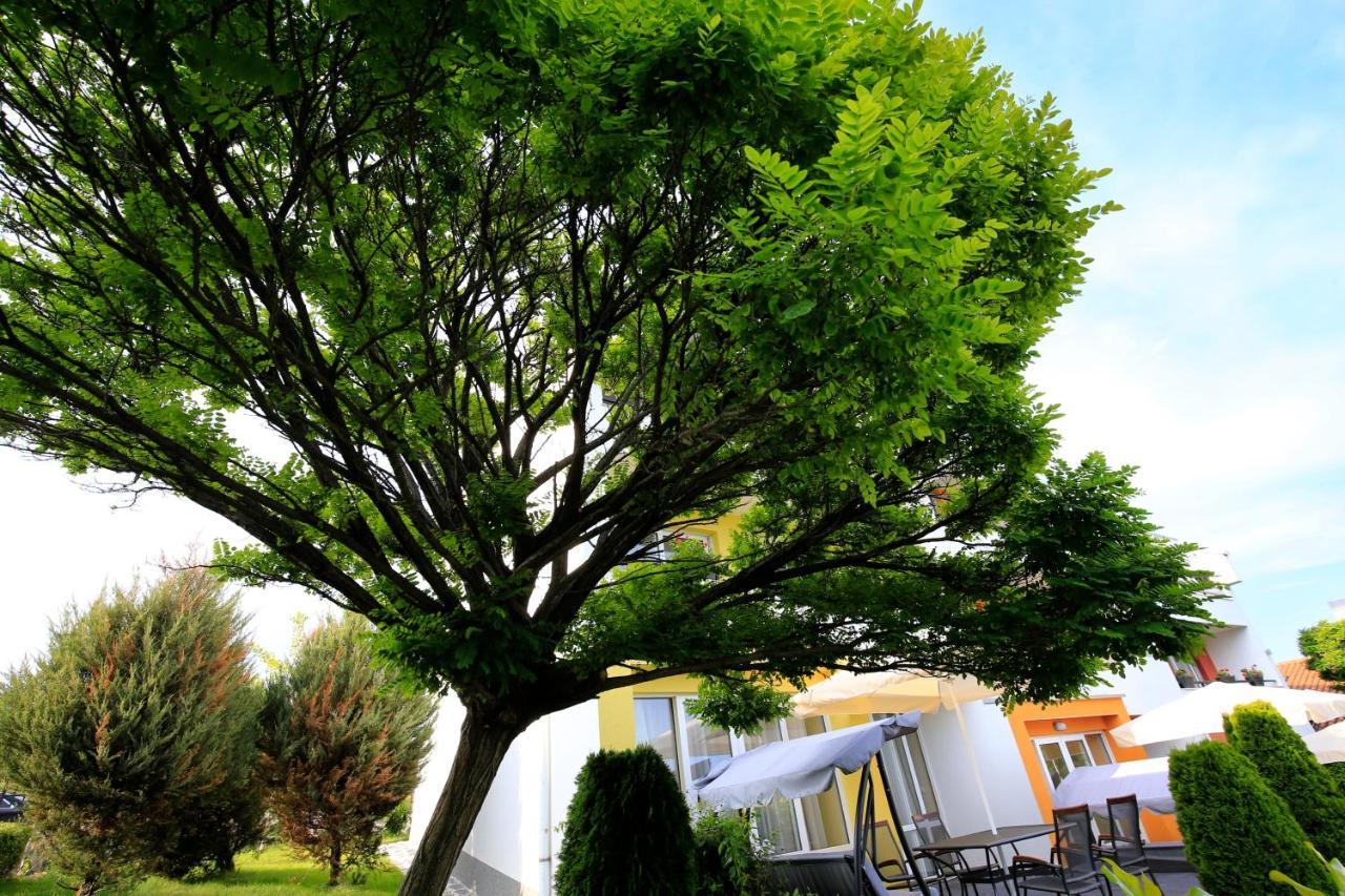 Stayinn Rainbow Houses Beachfront By Asteri Hotels Сонячний Берег Екстер'єр фото